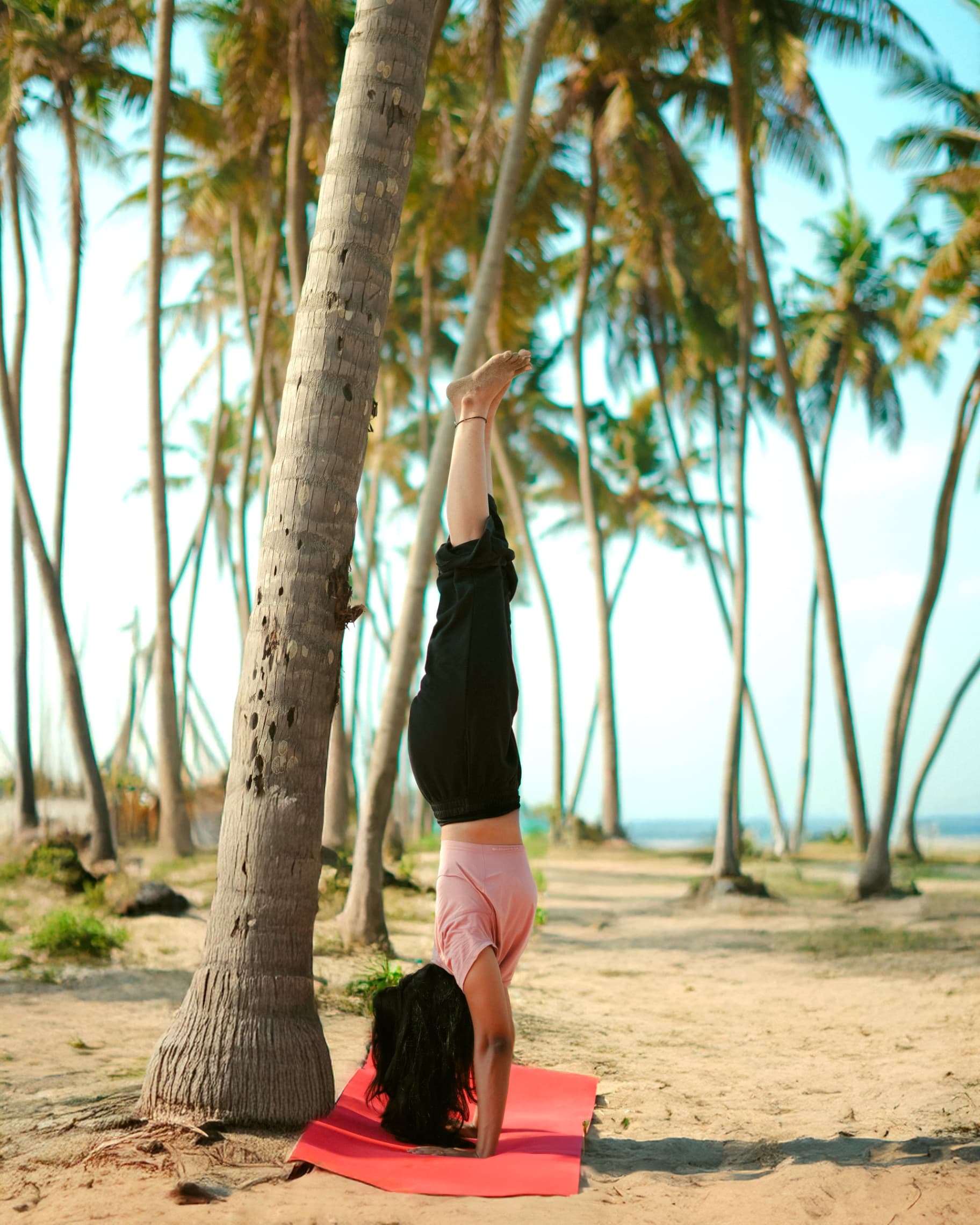 Instructor in a handstand by a palm tree on the beach